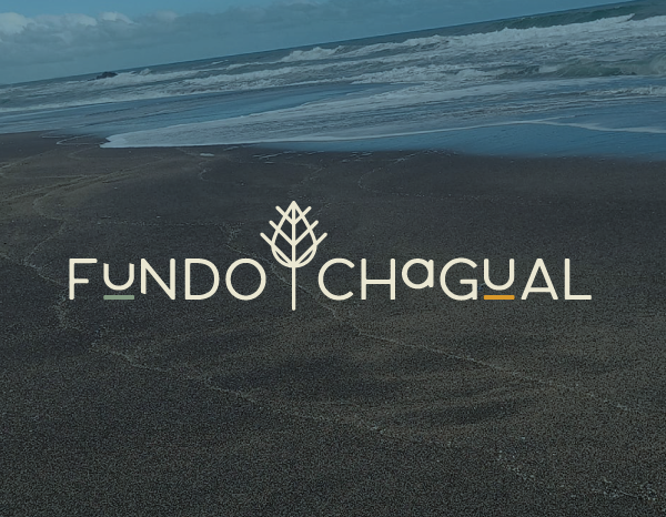 Fundo Chagual